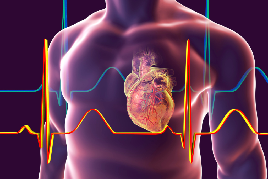 ¿Qué esperar durante un electrocardiograma digital en&nbsp;reposo?